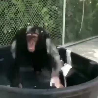 Yo cuando orslok abre directo