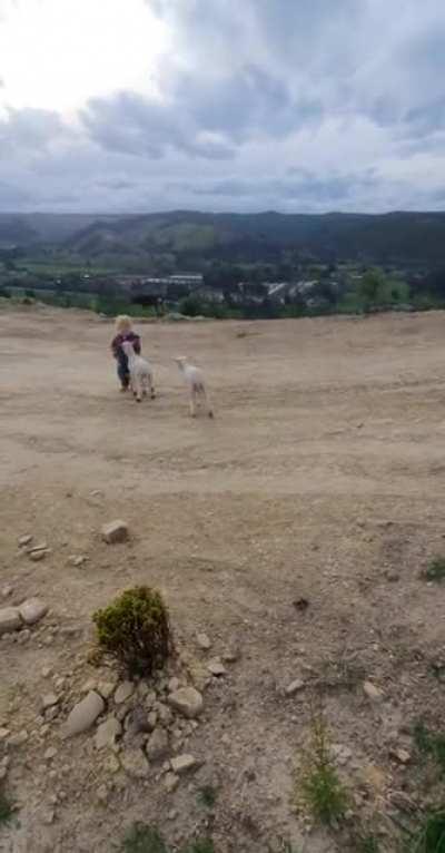 She didn't stand a chance