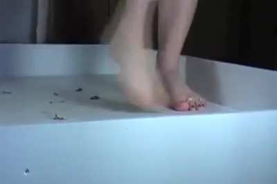 Barefoot Crickets