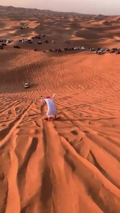 Ahmed stop.. Ahmed! AHMED!