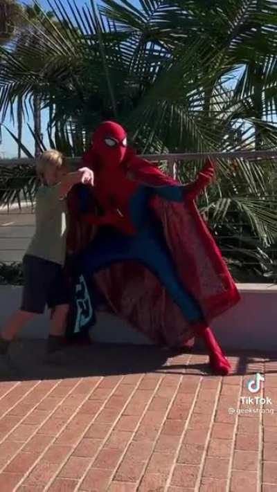 The idea of Spider-Man is so iconic and inspirational, Stan Lee really created a special character.