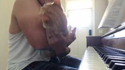 I own a slightly amorphous blob cat who interrupts my practice sessions...