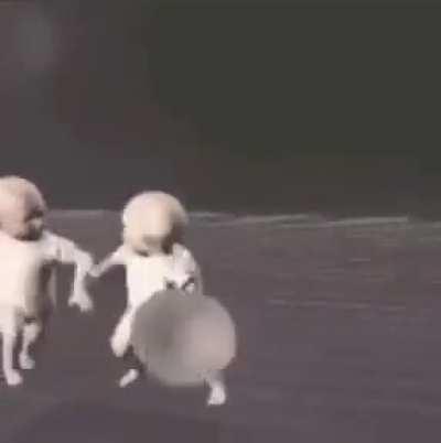 no words need to be said hereâ¦