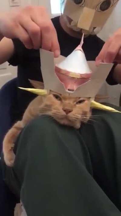 Use my head for a spaceship landing