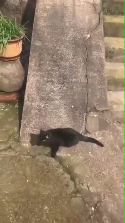 Прикольно, чё..