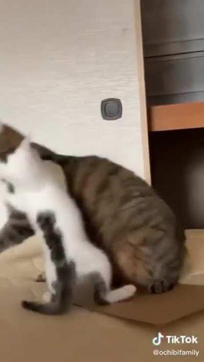 Annoyed vibes only 😇