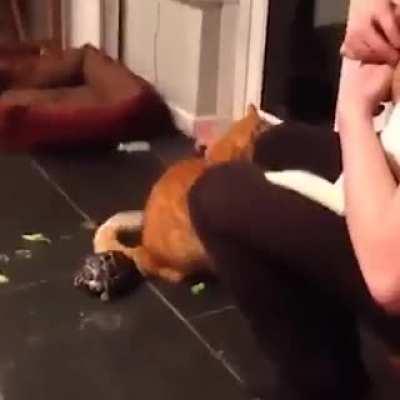 Finally someone to take the revenge