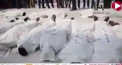 All you had to do was lay down and pretend to be dead for the cameras...