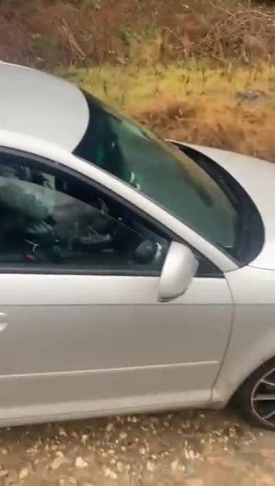 WCGW If I try to get across this river?