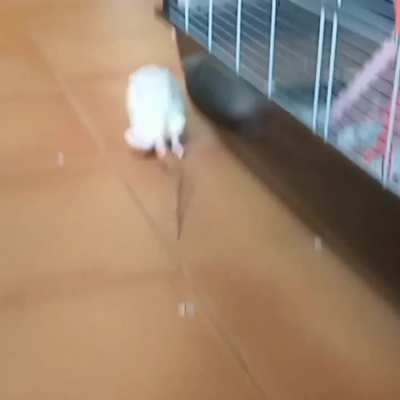 People demanded to see the bigger 