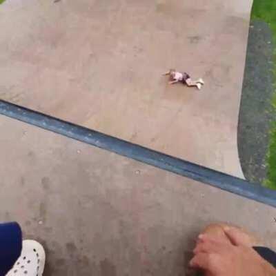 Drop in...your sister