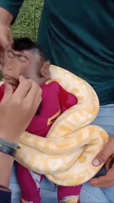 cursed_sleepy monke