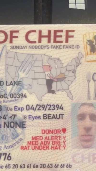 Making a fake fake ID vending machine and setting it up for people to come use. (I checked with lawyers and made sure that it's legal)