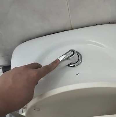 what kind of toilet is this 😭