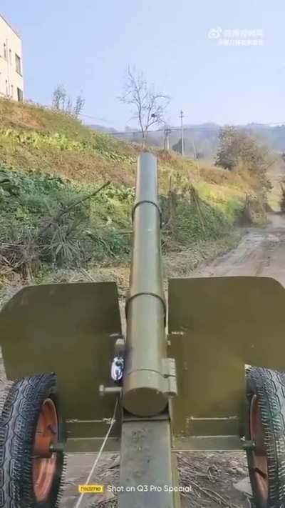 Normal day in China: kid uses towed artillery to destroy hornet nests