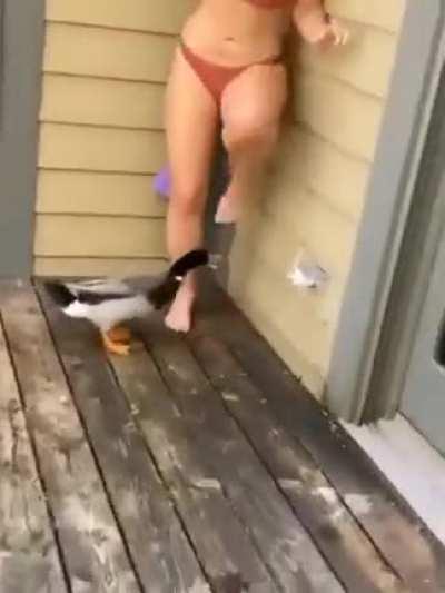 Thought the scream fitted here