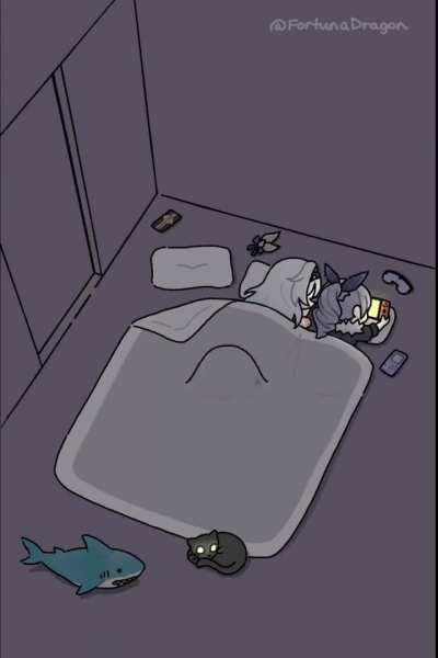 which one is not sleeping? (stellaron hunters ver.)