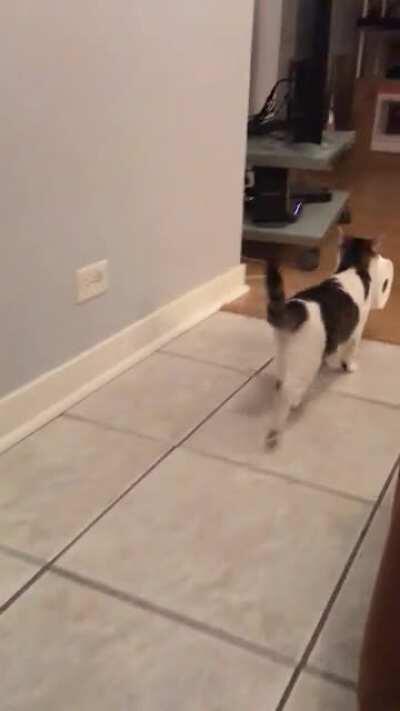 He looks like Trouble! Bringing Chester home in a few days. Foster parents sent this video.