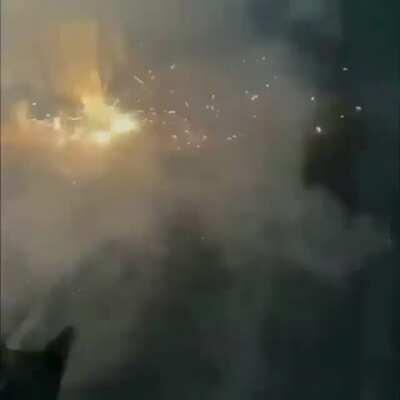 Dogs celebrating Lunar New Year