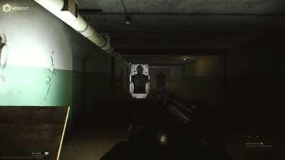 The Fal is a joke and Visual recoil needs to be toned down