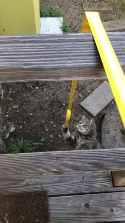 Contractor Cat is sick of these cheap tools!