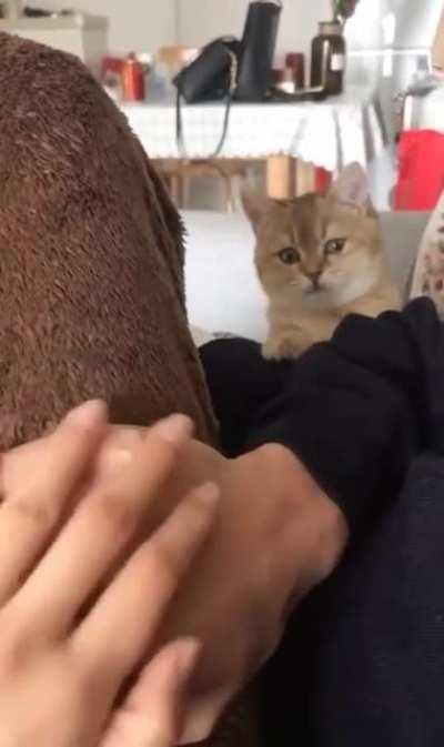 When you realize YOU are the third wheel:/