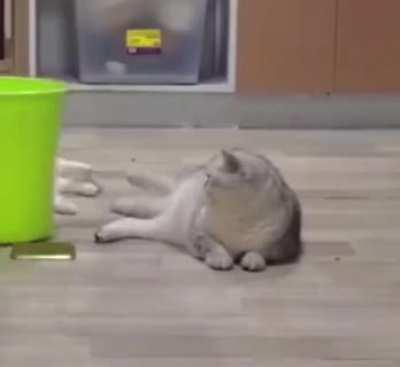 You have no conception of how rare that is, THAT IS MILLIONS TO ONE