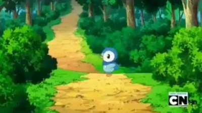 PIPLUP NO