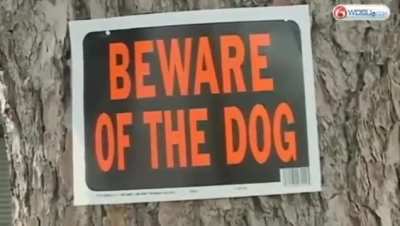 Westwego Woman Loses Eye, Ear and Both Arms After Pet Pit Bulls Attack (2013)