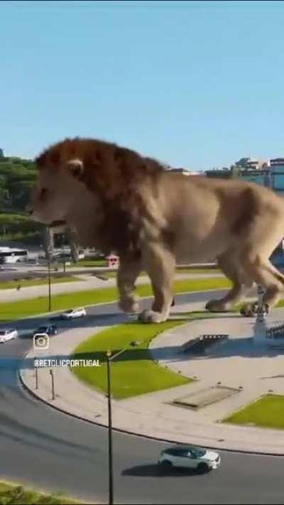 Sporting Clube Portugal 