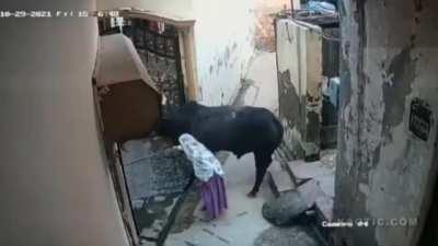 It came in calm as hell