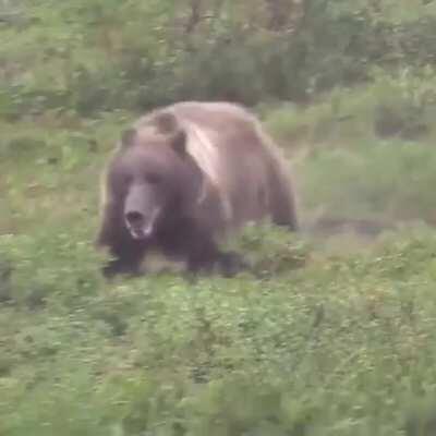 The last thing you want to see on your hike