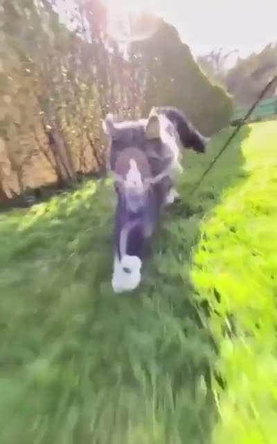 This innovative use of a selfie stick