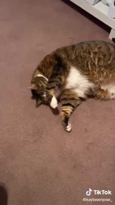 Not my video but still very ćhøñk