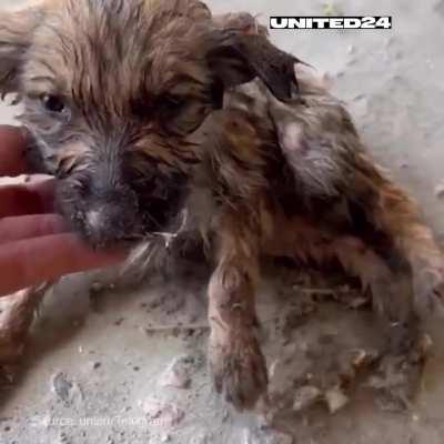 On June 6, 2023, Russia committed one of the largest ecocides in modern history. It destroyed the Kakhovka Dam, flooding all the settlements downstream.