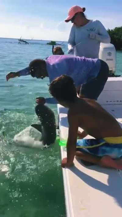 Payment for playing wth a shark? 1 pinky finger 😳 ~S~ Caution Language