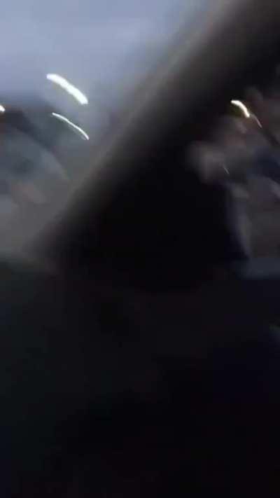 I think I know why they call a group of Crows a “Murder” now.