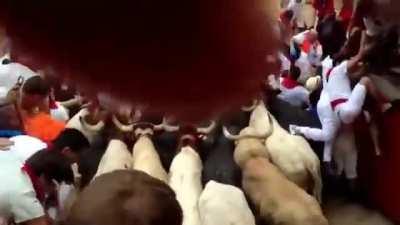 when the gate gets stuck closed at the running of the bulls.