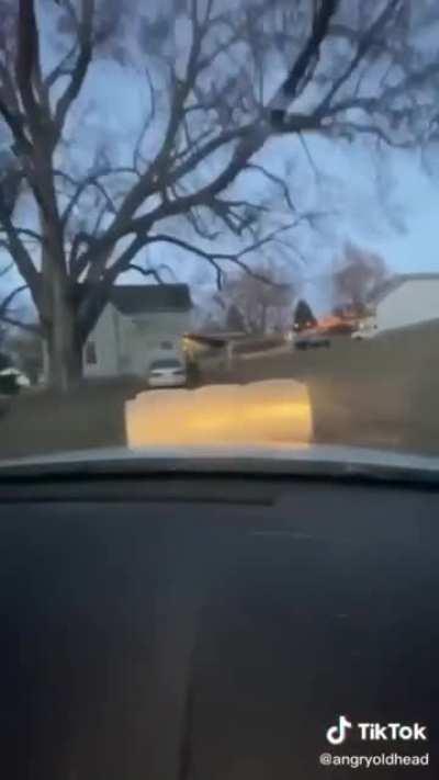 Thanks, I hate The Simpsons