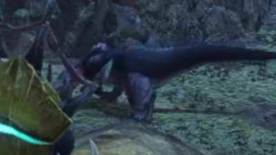 Anjanath is far more rude in Rise :(
