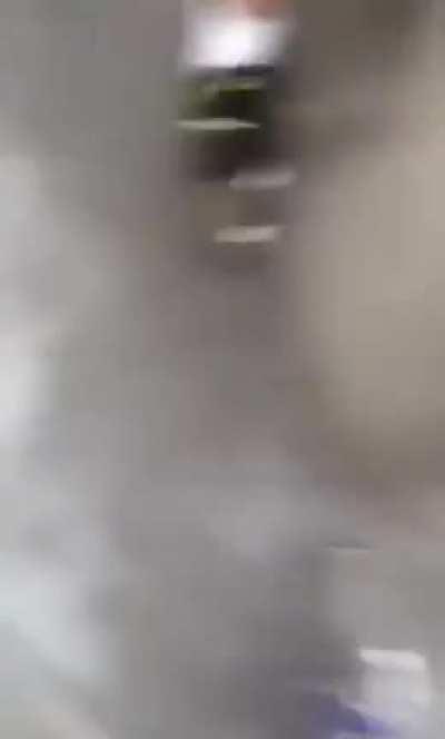 It says on the lid: Don't Climb the Trash Bin🤣