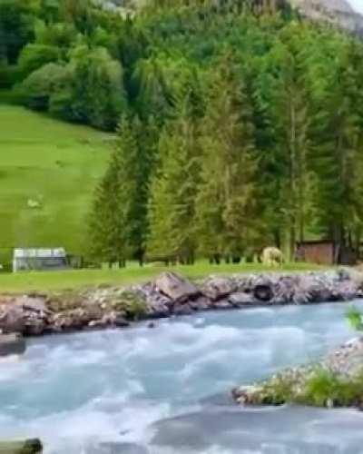 The Natural beauty of Switzerland🇨🇭💚