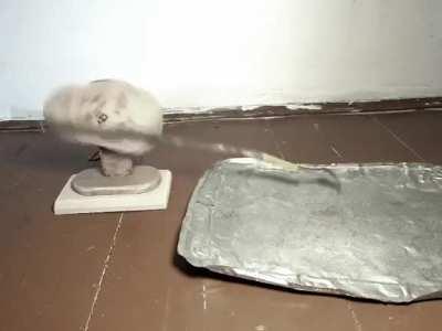 cute anime girl at the beach [NSFW]