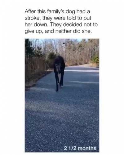 Чертовы ниндзи