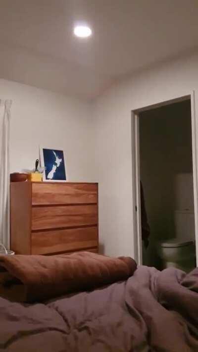 Fetch Olympics Gold Medal Winner