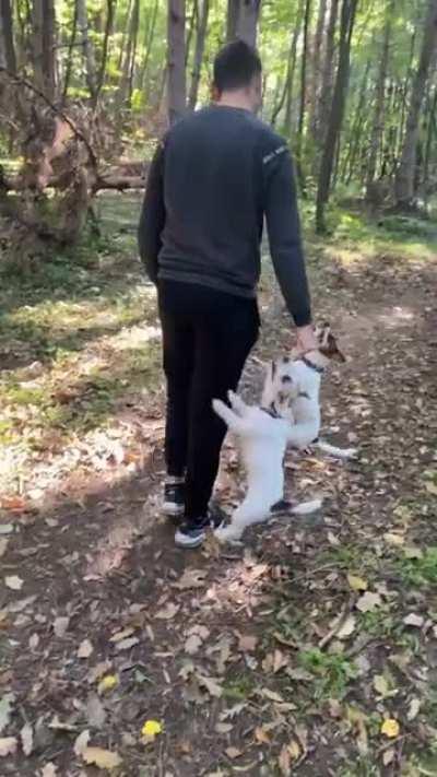 When going for a hike remember to only bring the essential