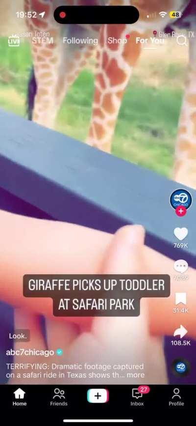 Giraffe vs Coughing Baby