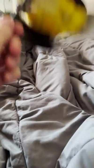 He won’t give my pen back!