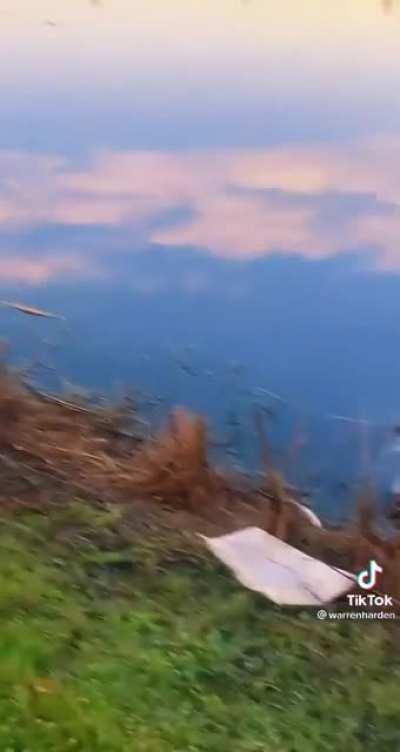 A good friend would say something.