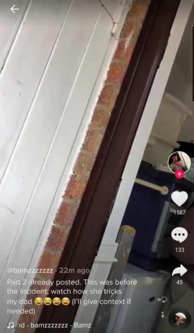 What happened before british Karen got caught with a pipe around Royal Mail van. She's the police now!